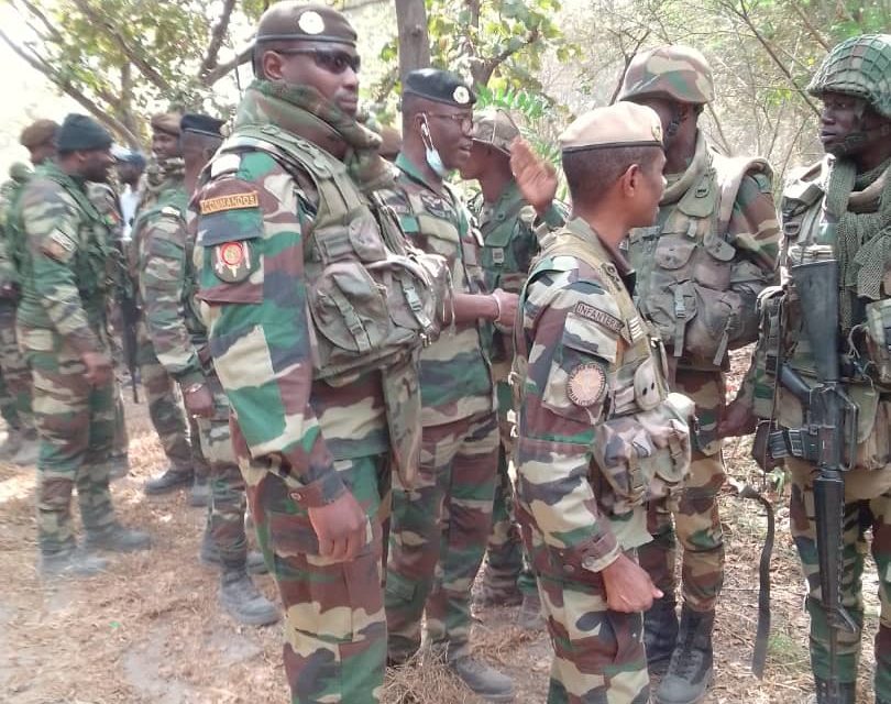 IMAGES - L'armée reprend les 4 dernières bases du front Sud