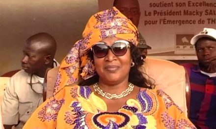 CONSEIL DES MINISTRES- L'ex-ministre Ndèye Tické Ndiaye Diop nommée Ambassadeur