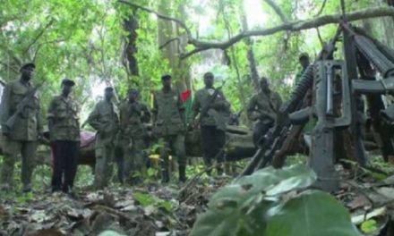 ACCROCHAGES ENTRE SOLDATS SÉNÉGALAIS ET REBELLES CASAMANÇAIS, TRAFIC ILLÉGAL DE BOIS - La guerre des “roses”