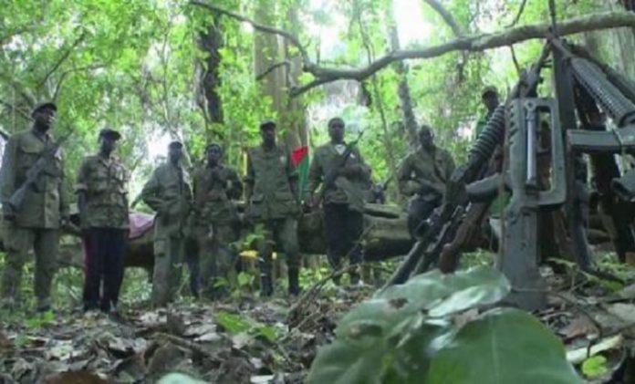 CASAMANCE – Plusieurs chefs rebelles déposent les armes