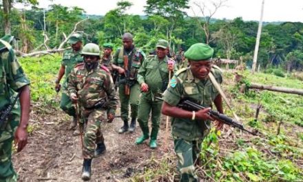 RDC - Une attaque présumée des Forces démocratiques alliées fait 13 morts