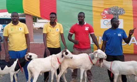 PÉTANQUE 7E JOURNÉE - La doublette Alassane Fall-Saliou Fall s'adjuge la spéciale Tabaski