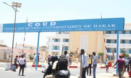 UCAD  - Les étudiants exclus vont entamer une grève de la faim