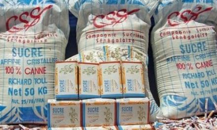 BAISSE DES PRIX DE PLUSIEURS DENREES ALIMENTAIRES - Le calvaire des boutiquiers du Sénégal