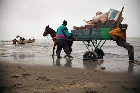 IMPLANTATION DE NOUVELLES USINES DE FARINE ET D'HUILE DE POISSON - Greenpeace Afrique et les pêcheurs crient au scandale