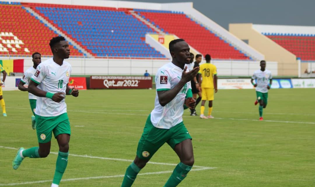 SENEGAL-NAMIBIE - Les Lions dévorent les Warriors (4-1)