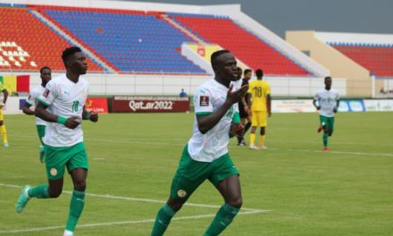 SENEGAL-NAMIBIE - Les Lions dévorent les Warriors (4-1)