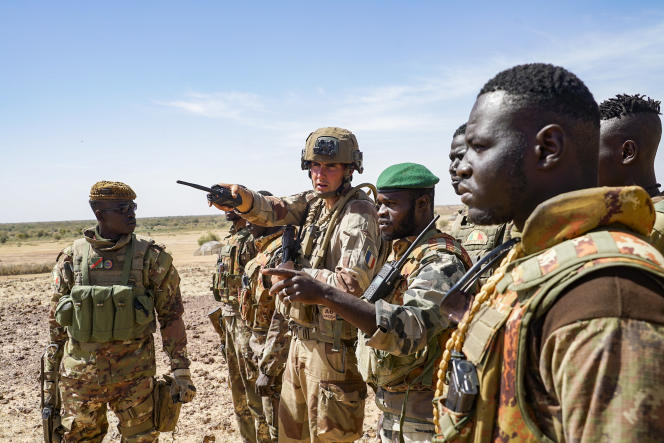 RÉVÉLATIONS FRANCE-MALI / La voix de son maître (Par Guimba Konaté)