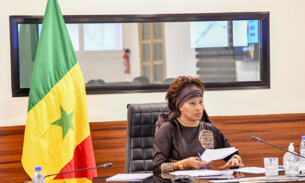 CYBER-SECURITE- Le Sénégal mise sur la coopération ukrénienne
