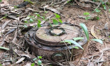 NORD-SINDIAN - 5 jeunes tués par une mine