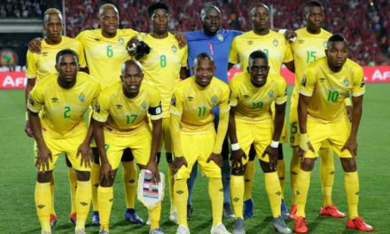 CAN 2021 - Le Zimbabwe privé de la Coupe d’Afrique au Cameroun ?