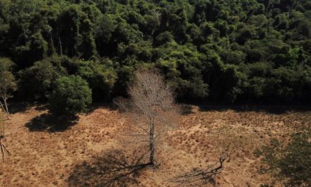 COP 26 - Chine et Etats-Unis annoncent un accord surprise