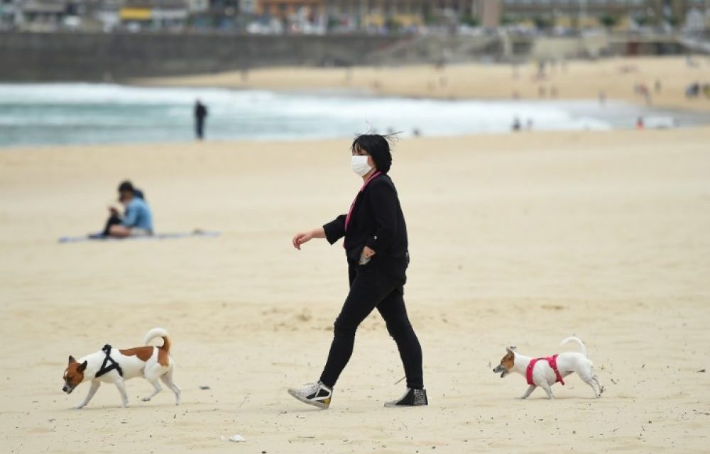 ESPAGNE - Garde alternée pour les animaux en cas de divorce