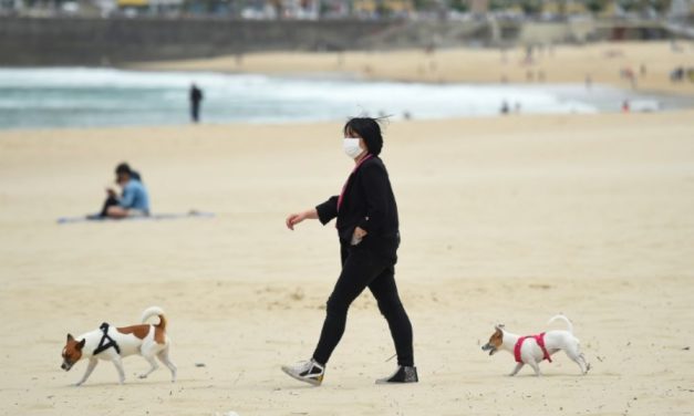 ESPAGNE - Garde alternée pour les animaux en cas de divorce