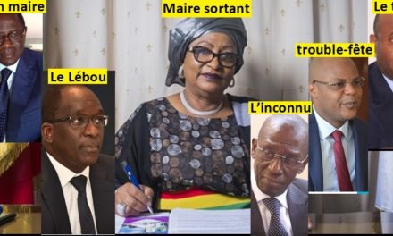 Elections locales : Ces 7 candidats qui briguent la mairie de Dakar