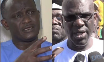 WALLU SENEGAL DONNEE PERDANTE A PIKINE- Dr Cheikh Dieng dénonce « le vol » de 25 000 voix »