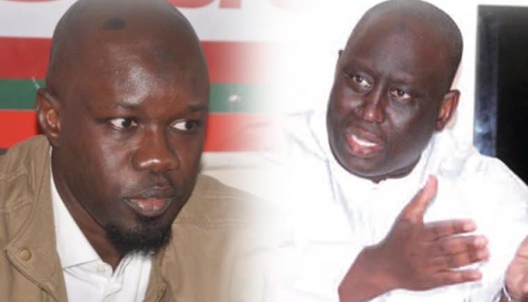 ALIOU SALL RIPOSTE – « On l’a traité de violeur, comment il peut me traiter de voleur ? »