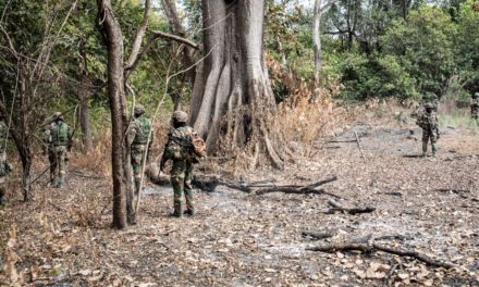 Libération des 7 militaires Sénégalais détenus par le Mfdc : L'implication de la Croix-rouge