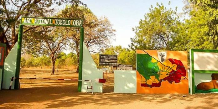KEDOUGOU - L’adjoint au chef de brigade du Parc Niokolo Koba condamné à 6 mois ferme