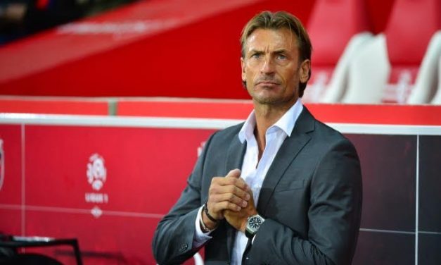 HERVÉ RENARD - "Pourquoi j'ai renoncé au poste de sélectionneur du Sénégal"
