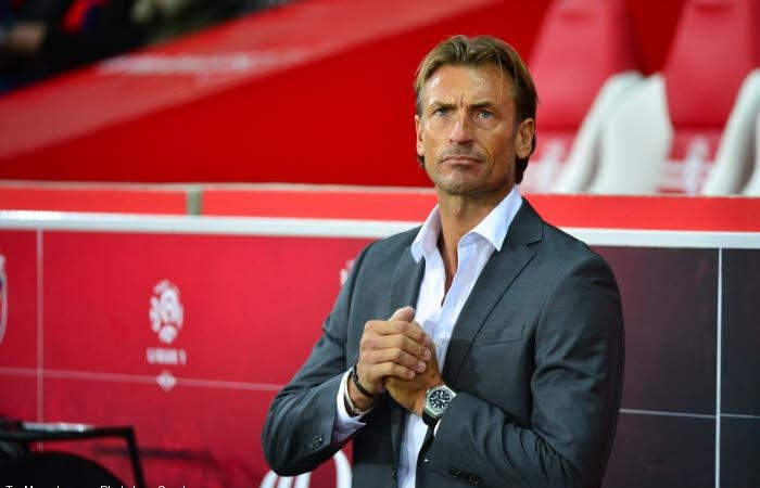 HERVÉ RENARD - "Le Sénégal peut aller loin dans ce Mondial"