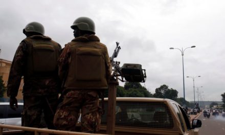 MALI - L'armée et des mercenaires soupçonnés d'avoir tué des centaines de civils