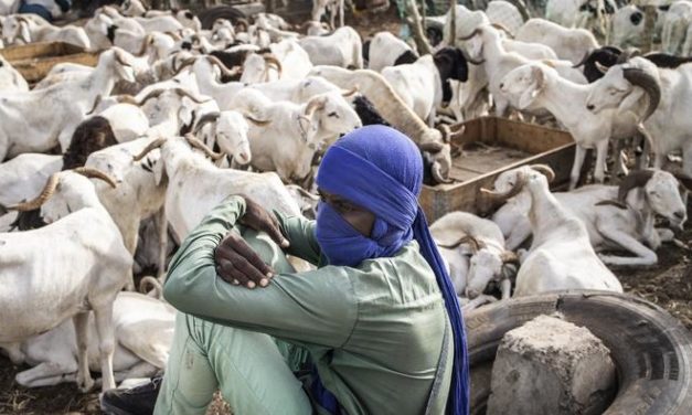 TABASKI 2022 - Le Sénégal supprime les taxes sur la vente de bétail pour les éleveurs mauritaniens