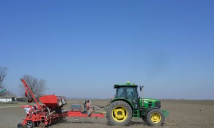 L'Ukraine perd un tiers de sa récolte de blé selon les images satellites