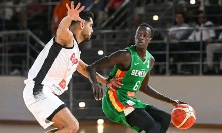 BASKET/ÉLIMINATOIRES MONDIAL 2023 - Lourde défaite des Lions devant l'Égypte (76-43)