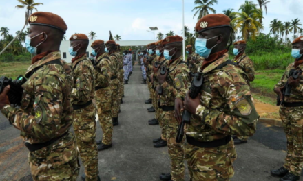 MALI - 49 soldats ivoiriens arrêtés à Bamako