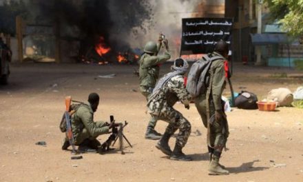 CAMEROUN - Au moins six soldats tués dans une attaque de Boko Haram