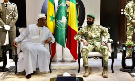 VISITE DE MACKY SALL AU MALI (PHOTOS) - Transition, Sécurité, affaire des militaires ivoiriens et coopération bilatérale au menu