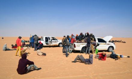 ÉMIGRATION CLANDESTINE - 115 Sénégalais expulsés d’Algérie souffrent au Niger