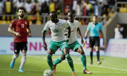 FOOTBALL - Dernier classement Fifa avant le Mondial, le Sénégal toujours leader en Afrique
