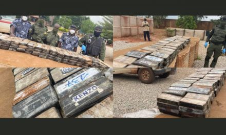 TRAFIC DE DROGUE - Le Mali saisit de la cocaïne d’une valeur de 8 milliards de francs Cfa