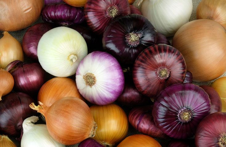 CONSOMMATION - Les importations d’oignon suspendues à partir du samedi 25 janvier