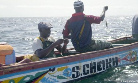 VOL DE POISSONS À KOLDA - 2 pêcheurs tués par balle, 9 personnes arrêtées par la gendarmerie