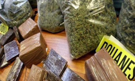 POPENGUINE 2024 - Plus de 310 kg de cocaïne saisis, 3 Français arrêtés
