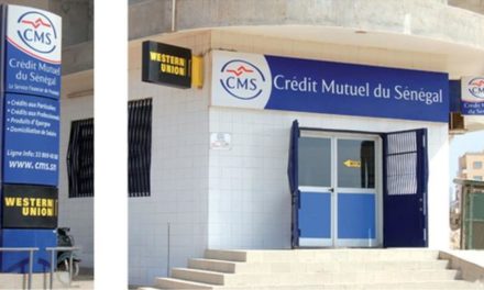 SUPPOSEE CRISE AU SEIN DE L'INSTITUTION - Le Crédit Mutuel du Sénégal dément et rassure ses sociétaires et clients