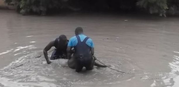 Podor : une fille meurt noyée dans le chavirement d’une pirogue, sa jumelle portée disparue