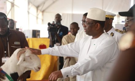 TAMBACOUNDA - Les éleveurs réclament à Macky un 3e mandat