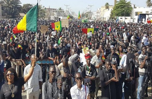 MARCHE AU SÉNÉGAL : Sur 7 974 déclarations recevables en 2022, 155 ont été interdites