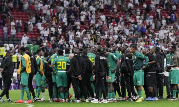 NETTALI TV - La coupe du monde des lions, en long et en large