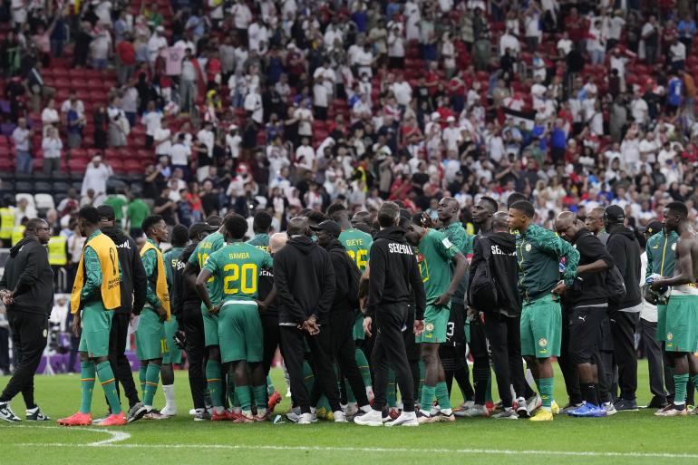 NETTALI TV - La coupe du monde des lions, en long et en large