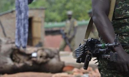 RD Congo - Au moins 23 civils tués dans une nouvelle attaque des ADF