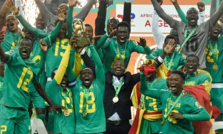 CHAN 2023 - 5 Lions dans le onze type