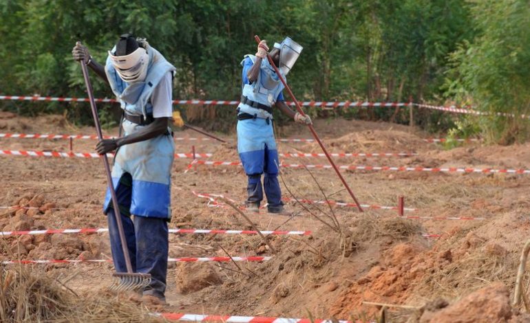 CASAMANCE - 2 millions 33 mille 160 mètres carrés de superficie déminés