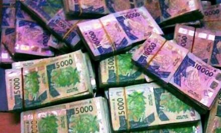 THIÈS - 50 millions en faux billets saisis par la gendarmerie