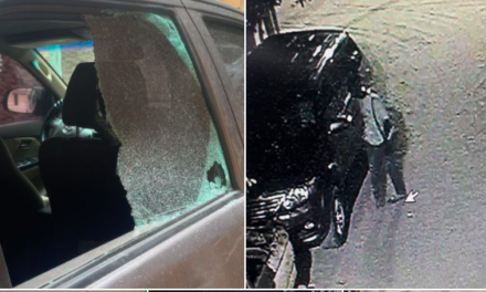 PARCELLES ASSAINIES - La voiture de Thierno Bocoum attaquée
