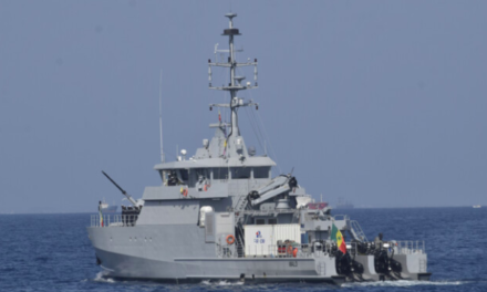 ARMEE - La Marine se dote d'un nouveau patrouilleur de guerre